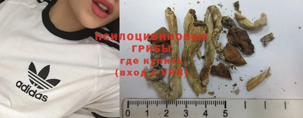 прущие крисы Бронницы