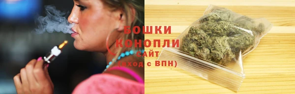 твердый Бородино