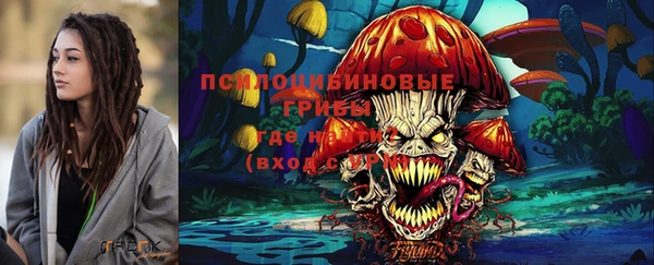 прущие крисы Бронницы