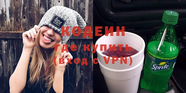 твердый Бородино