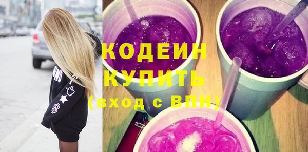 твердый Бородино