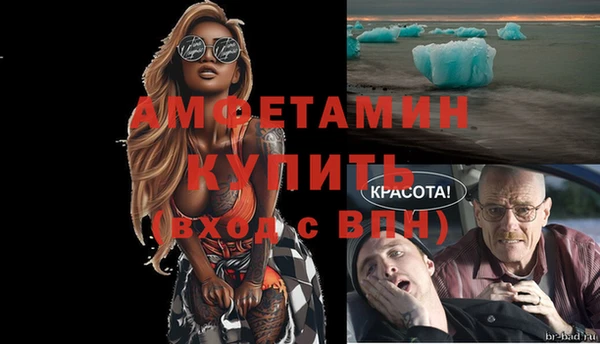 твердый Бородино