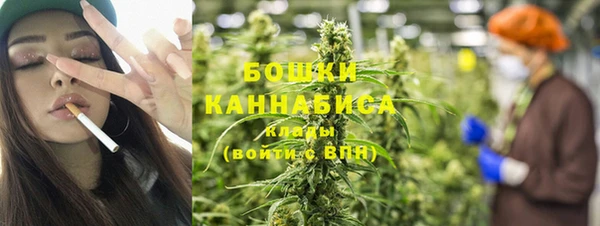 твердый Бородино